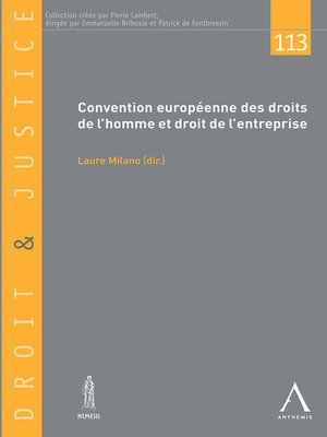 cover image of Convention européenne des droits de l'homme et droit de l'entreprise